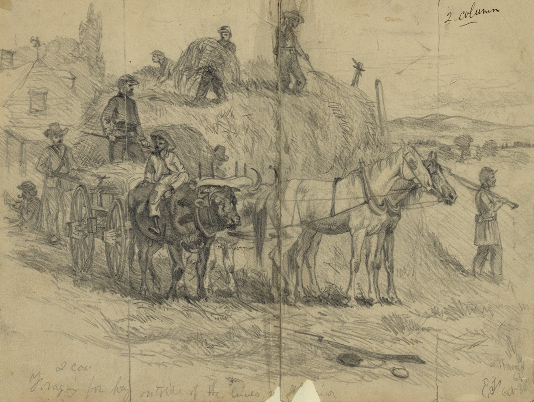 Edwin Forbes - Foraging for hay outside of the lines in Virginia