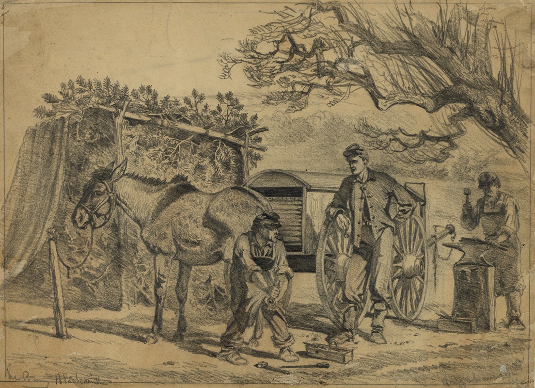 Edwin Forbes - Shoeing a mule