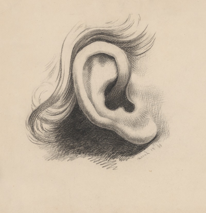 Richard Sanger Smith - Ear study, no. 1