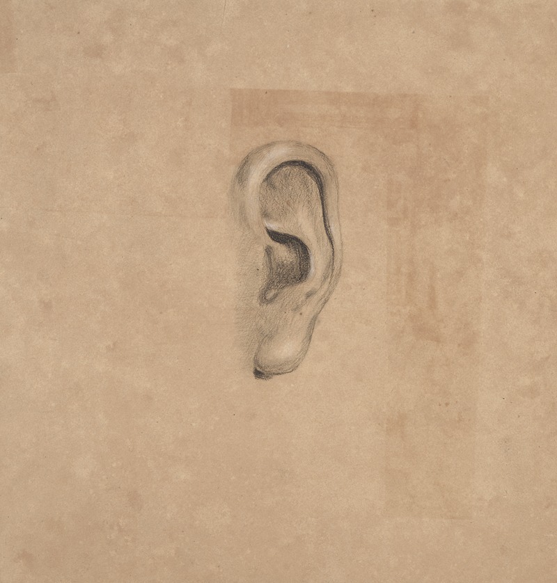 Richard Sanger Smith - Ear study, no. 2