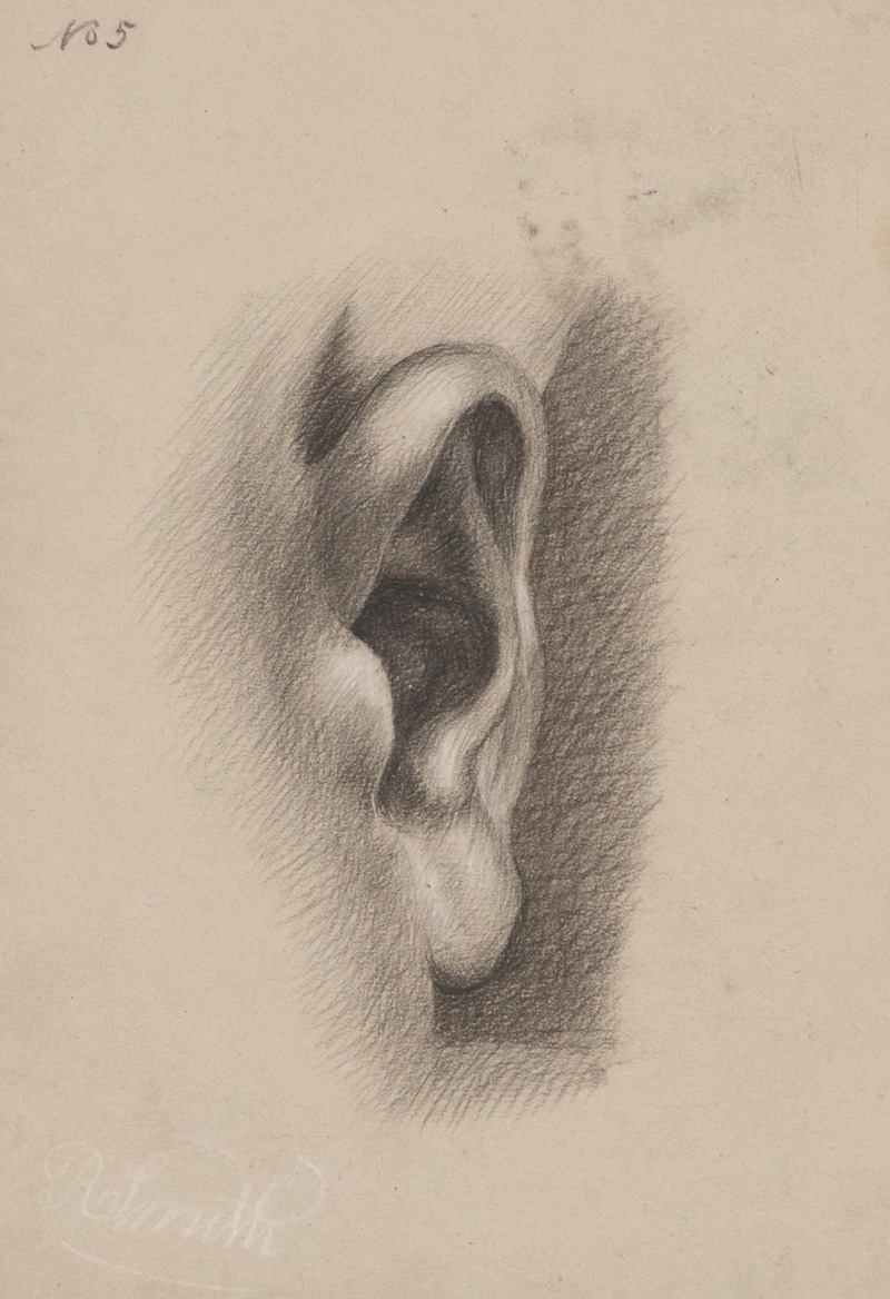 Richard Sanger Smith - Ear study, no. 5