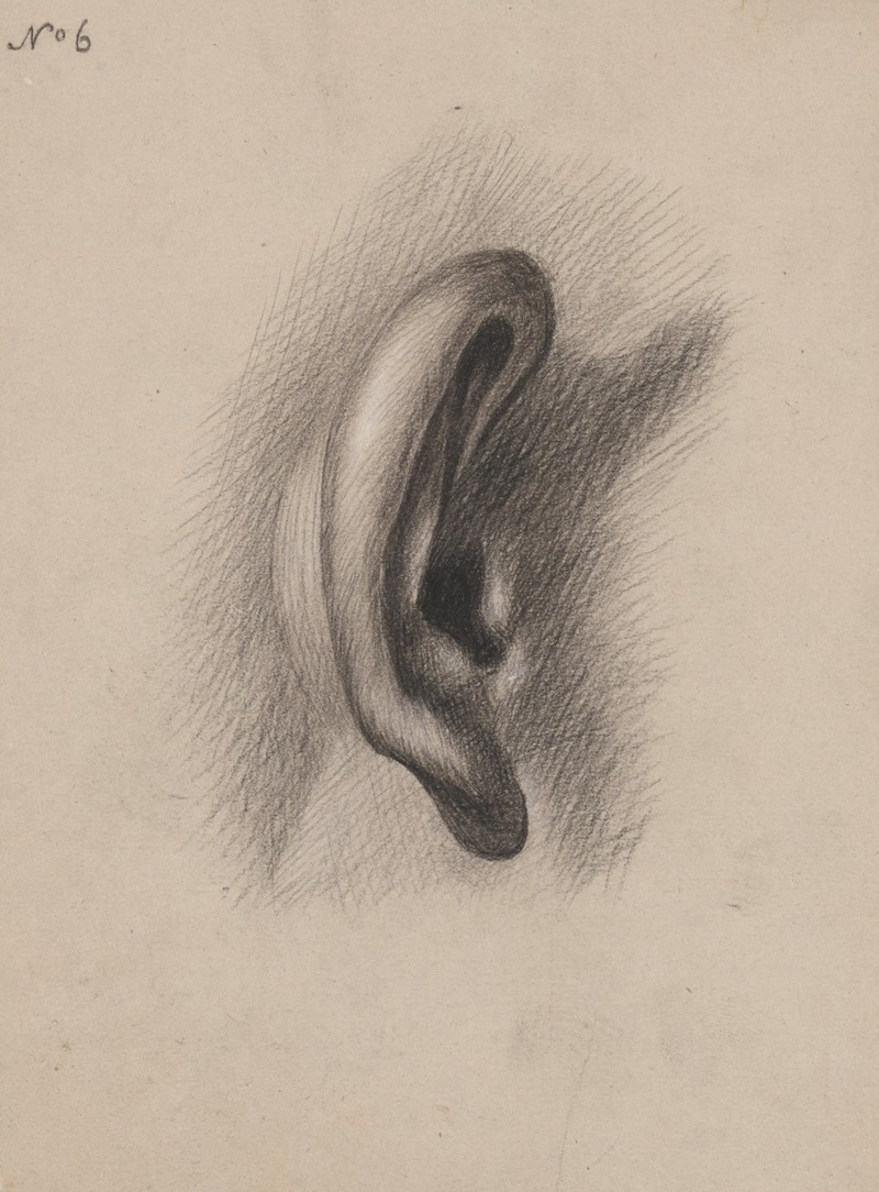 Richard Sanger Smith - Ear study, no. 6