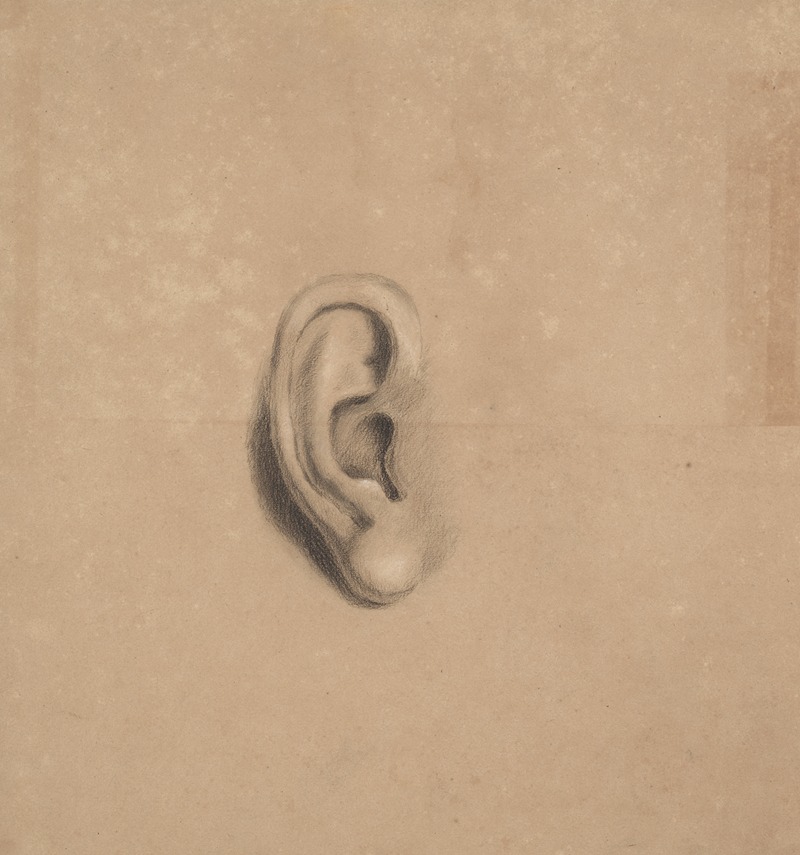 Richard Sanger Smith - Ear study