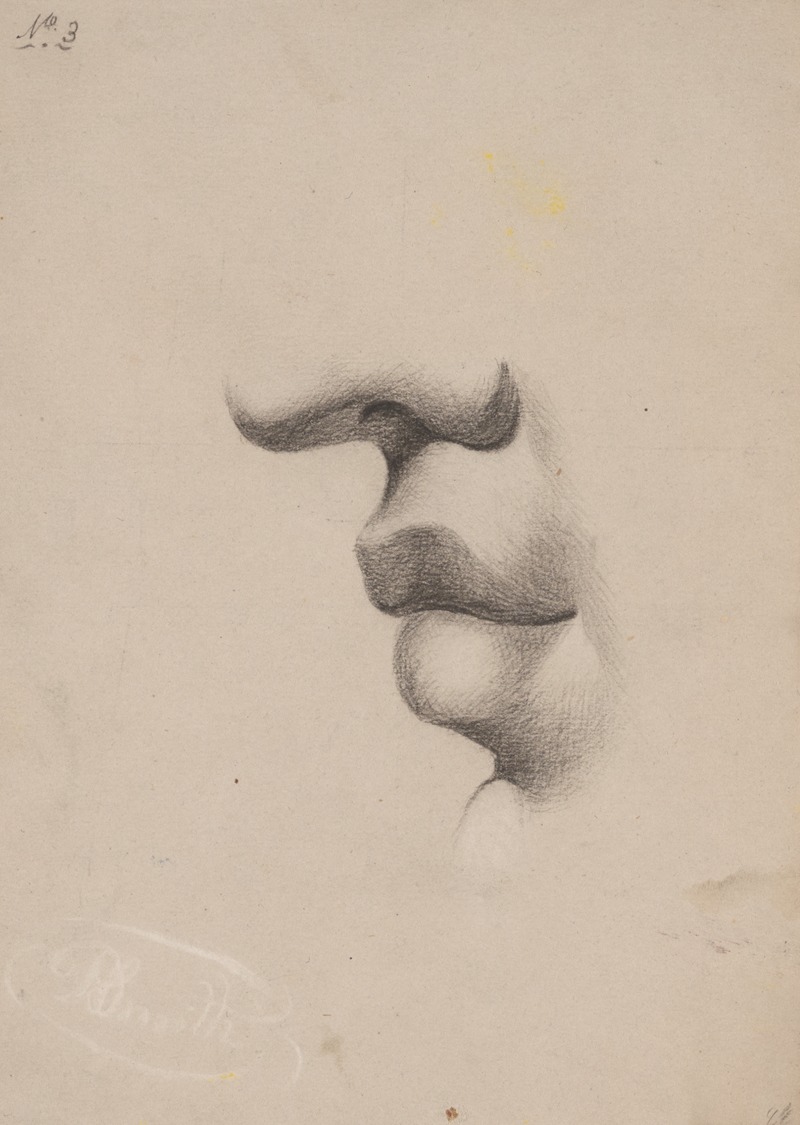 Richard Sanger Smith - Mouth study facing left, no. 3