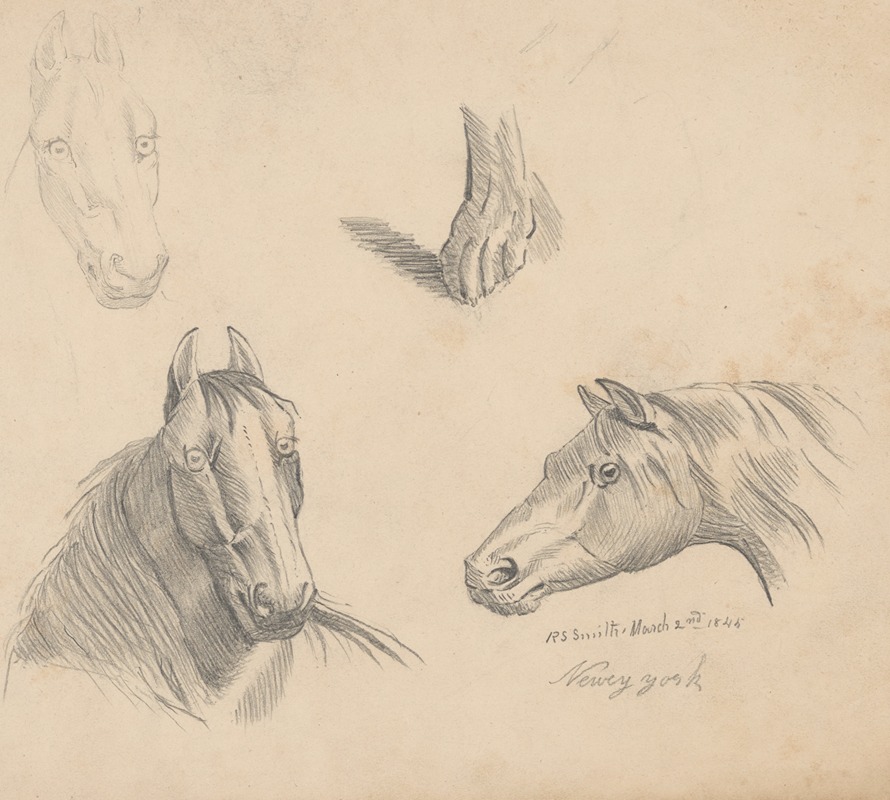 Richard Sanger Smith - Pencil exercise, no. 1 – horse heads