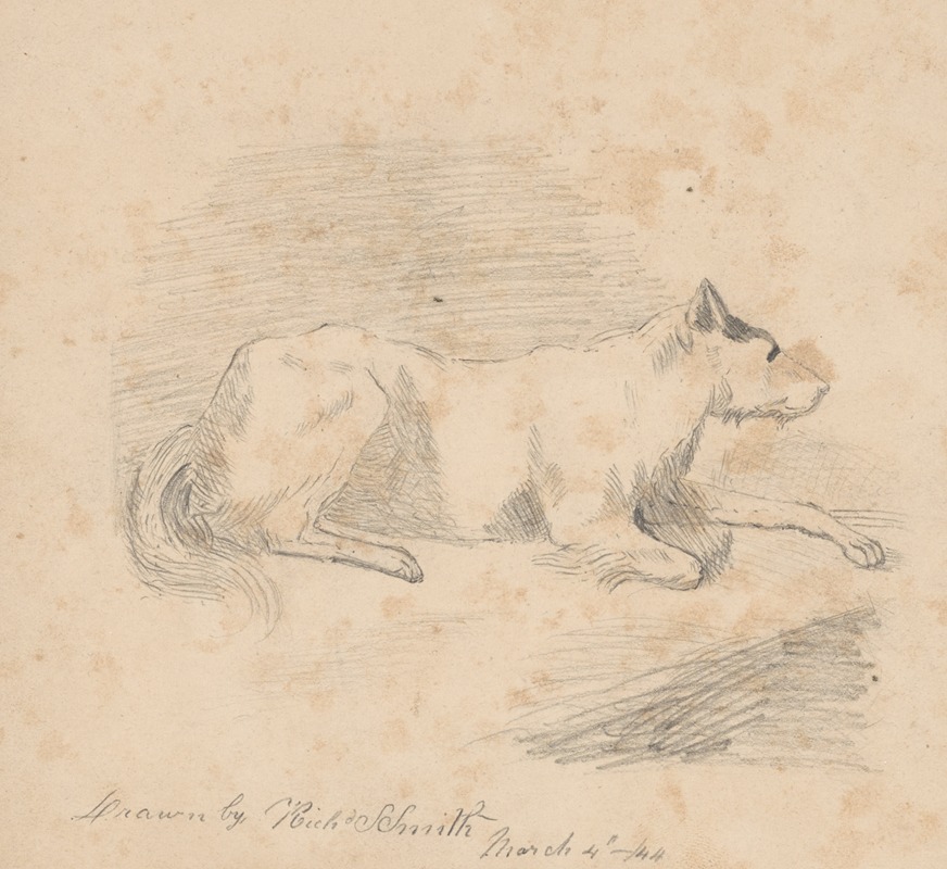 Richard Sanger Smith - Pencil exercise, no. 2 – lying dog