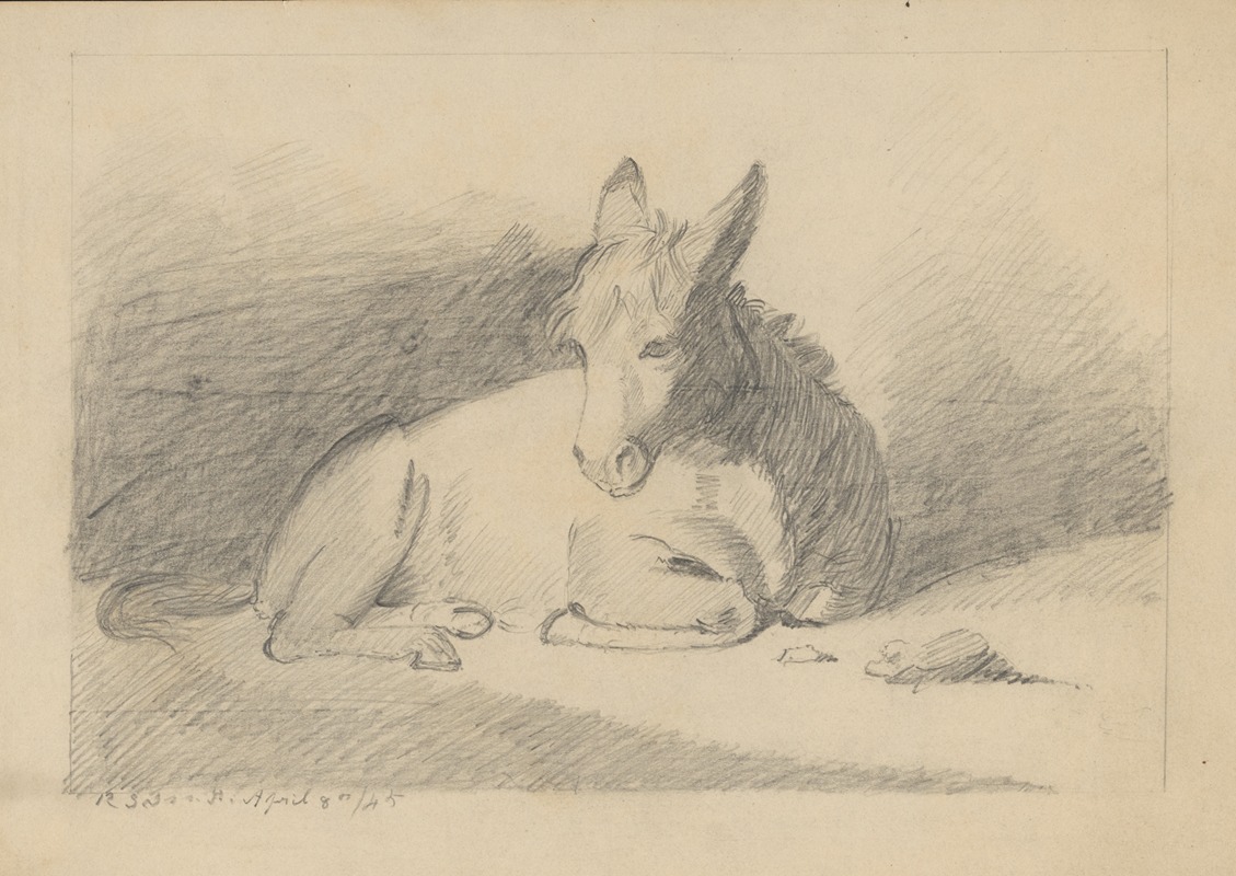 Richard Sanger Smith - Pencil exercise, no. 5 – donkey