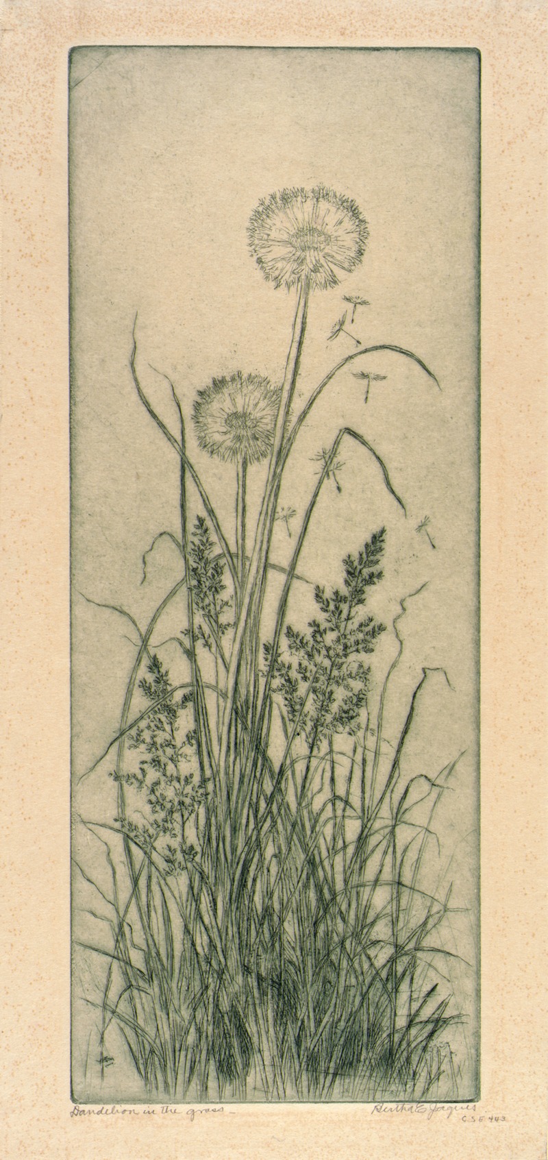 Bertha E. Jaques - Dandelion in the Grass