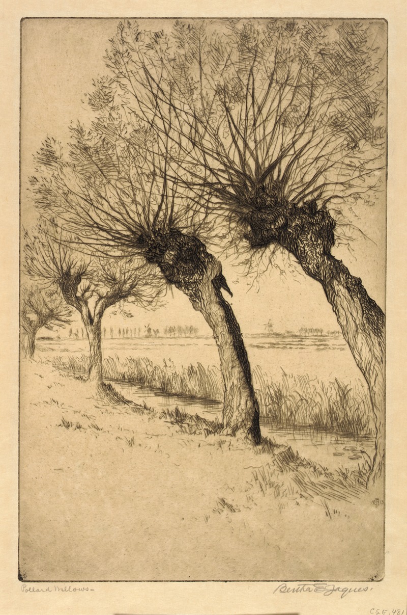Bertha E. Jaques - Pollard Willows, Rijsord, Holland