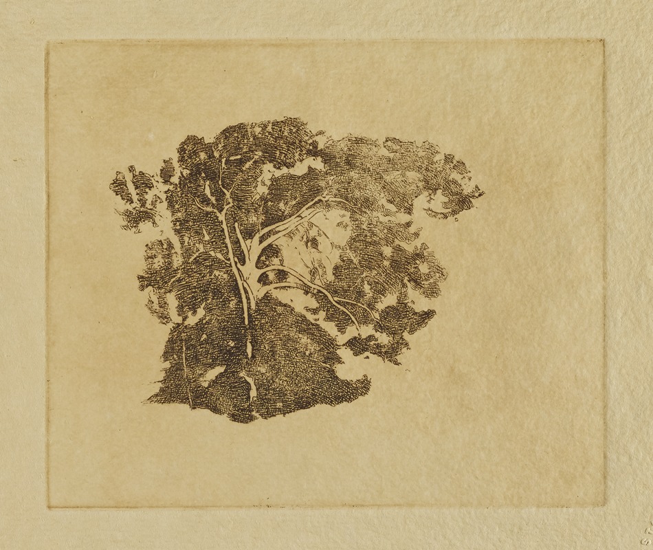 Emil Carlsen - Tree Study