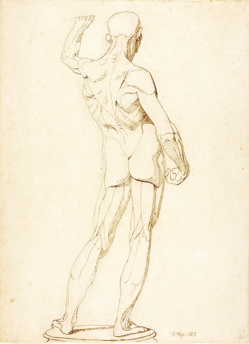 William Page - An Ecorche, Rear View