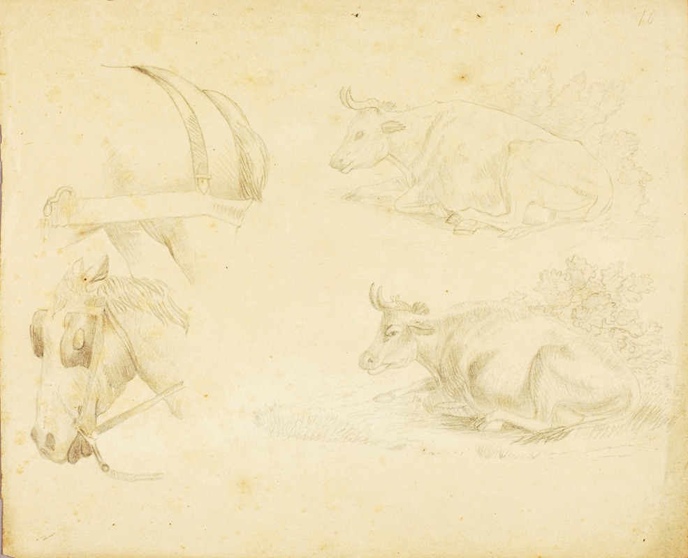 William Page - Studies – 2 cows, horse