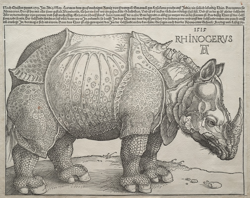 Albrecht Dürer - The Rhinoceros