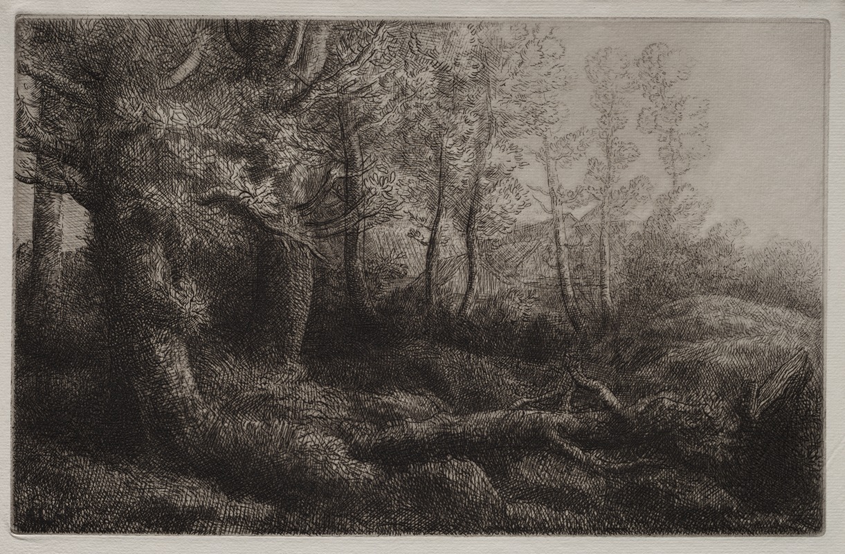 Alphonse Legros - A Woodland Study