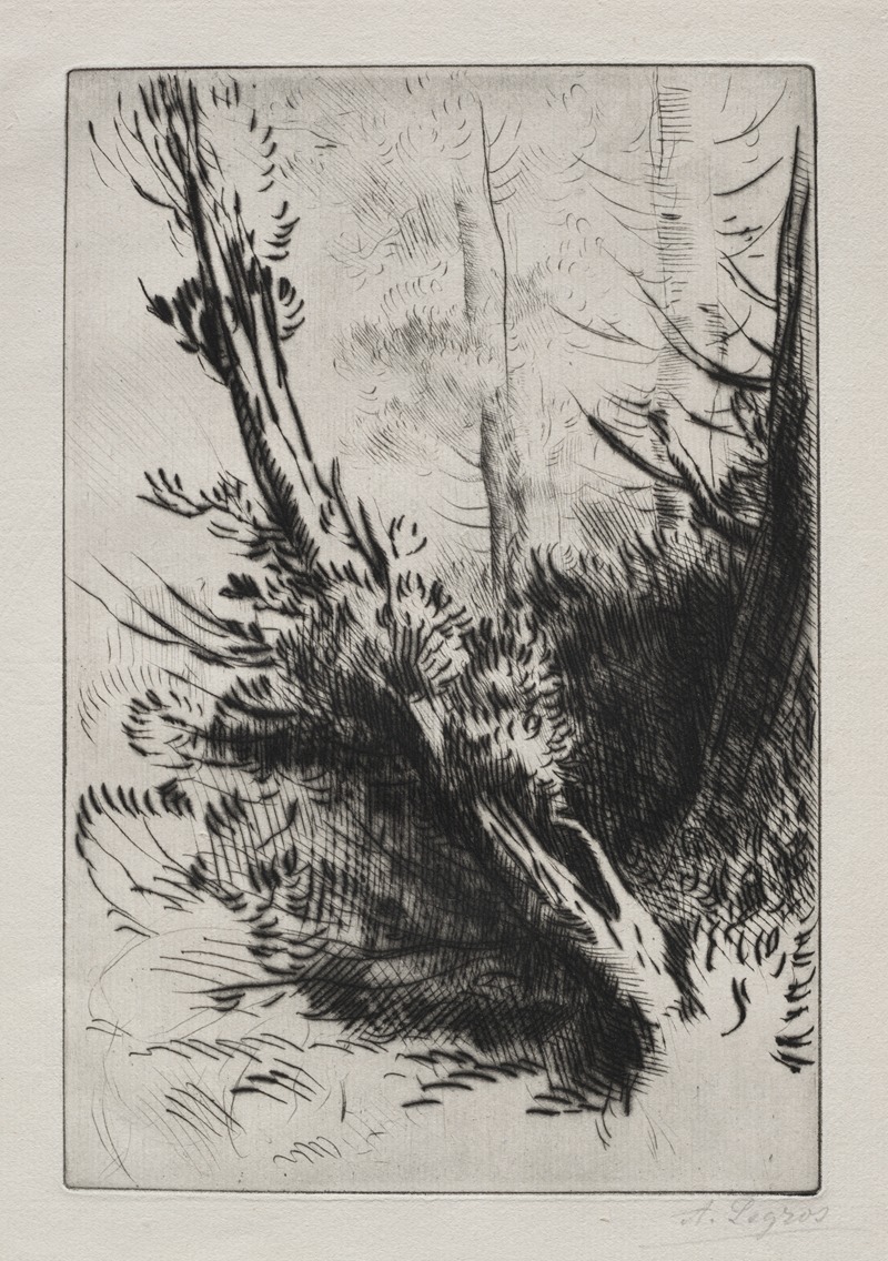 Alphonse Legros - In the Woods