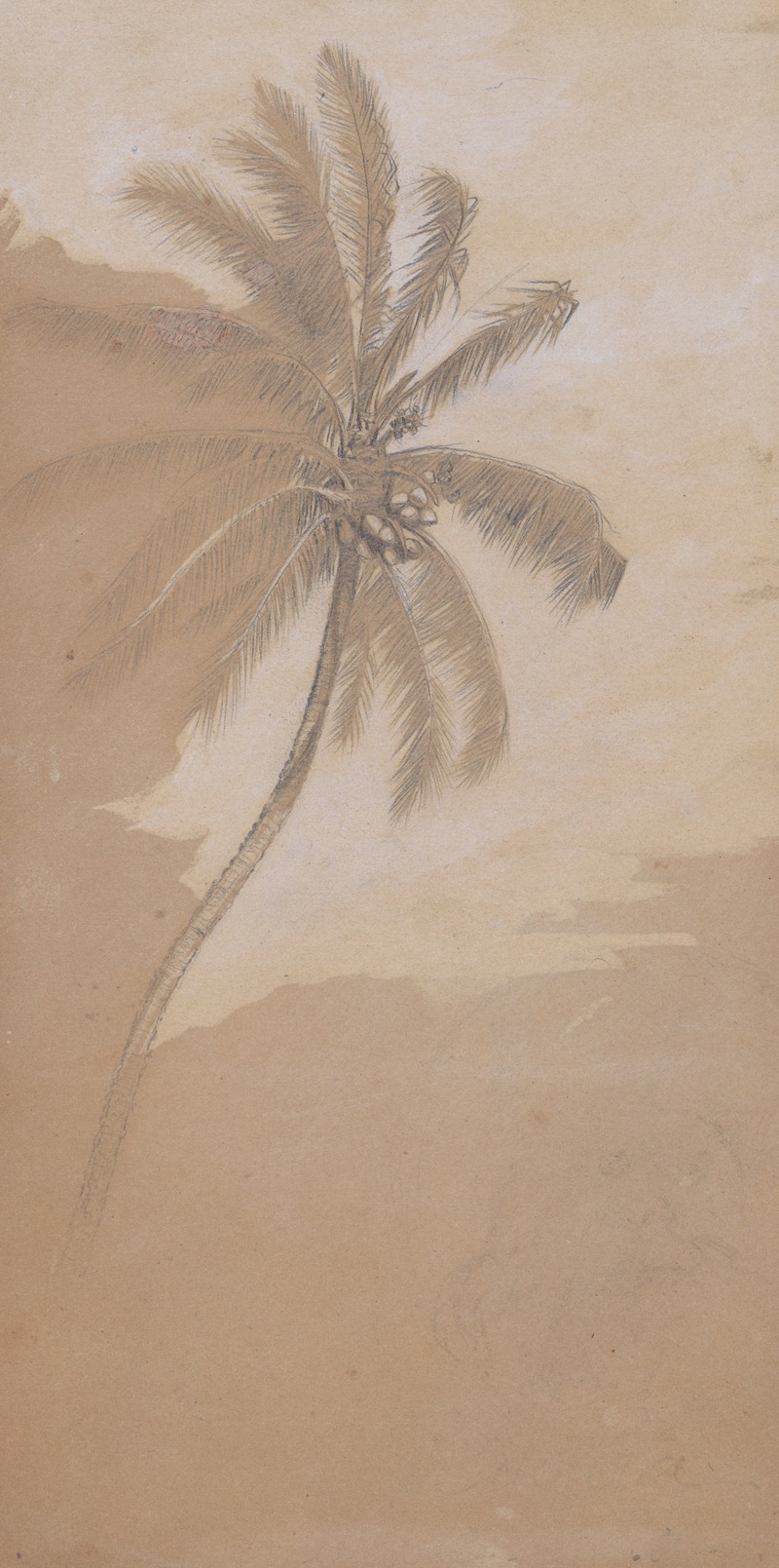 Elihu Vedder - Palm Tree