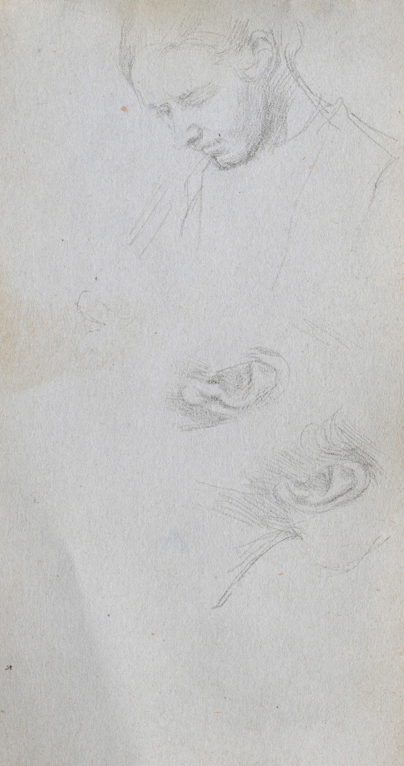 Ernest Meissonier - Study of a Face, ears