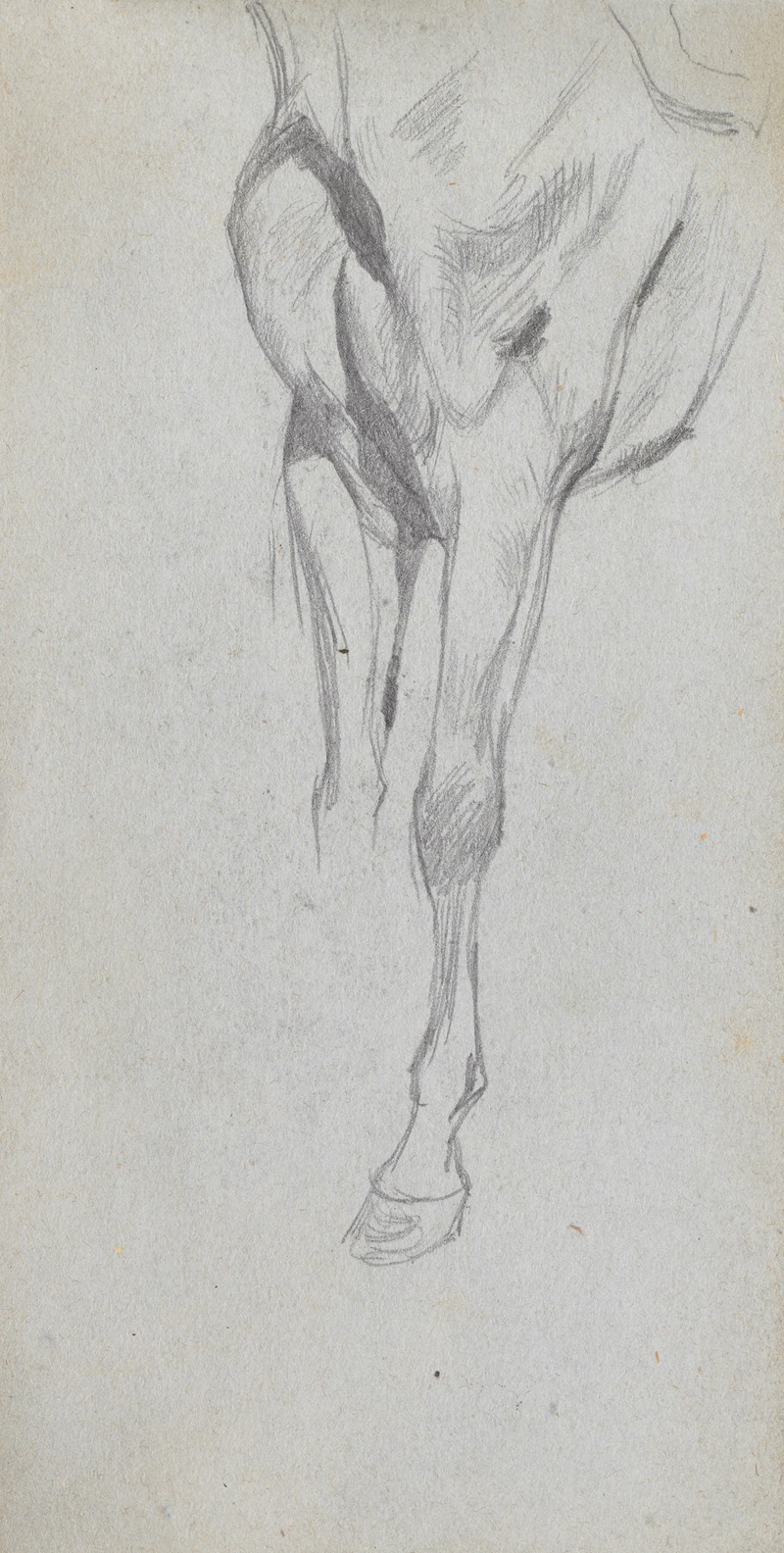 Ernest Meissonier - Study of A Horse 4