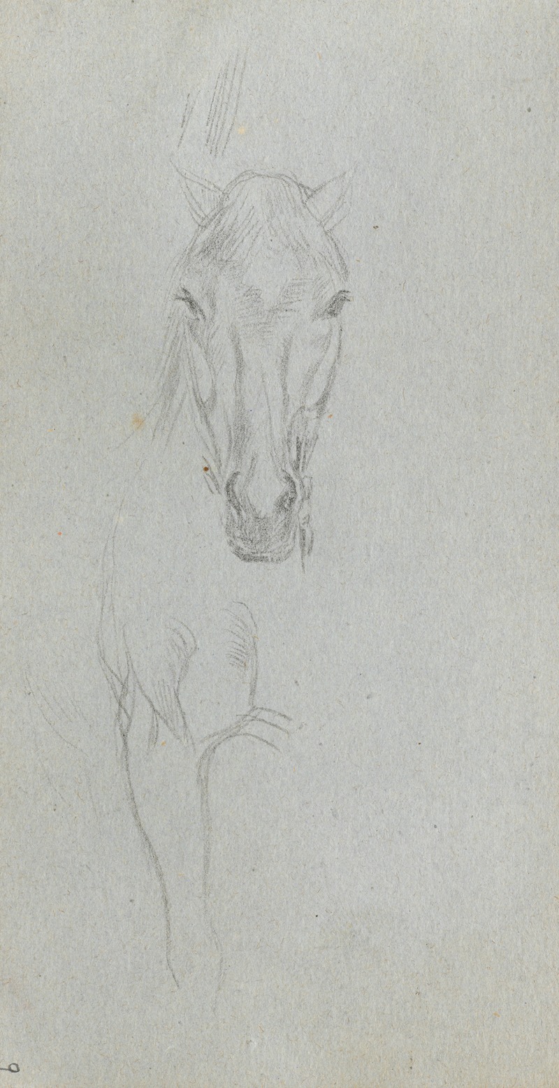 Ernest Meissonier - Study of a Horse 5