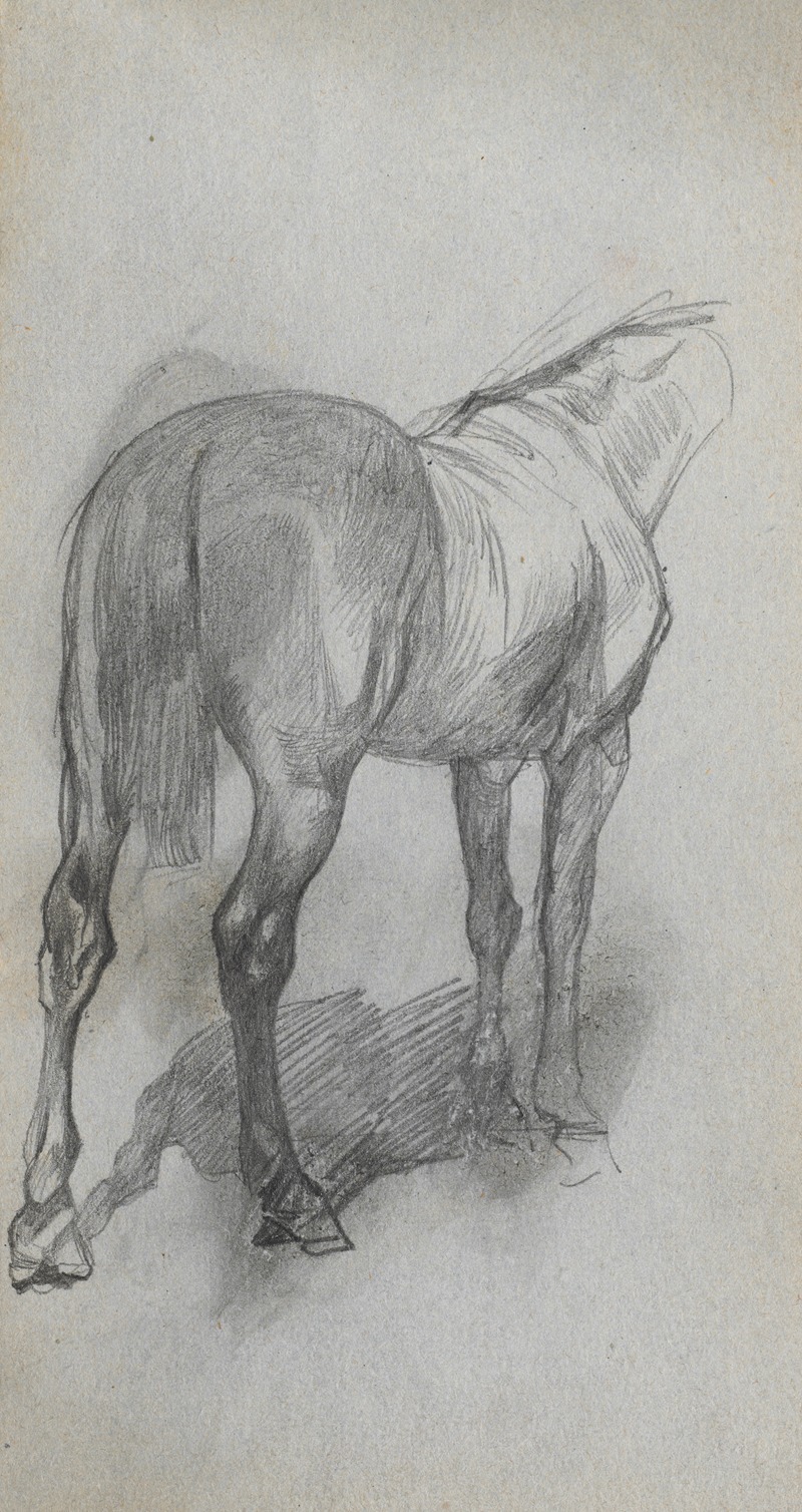 Ernest Meissonier - Study of a Horse 6