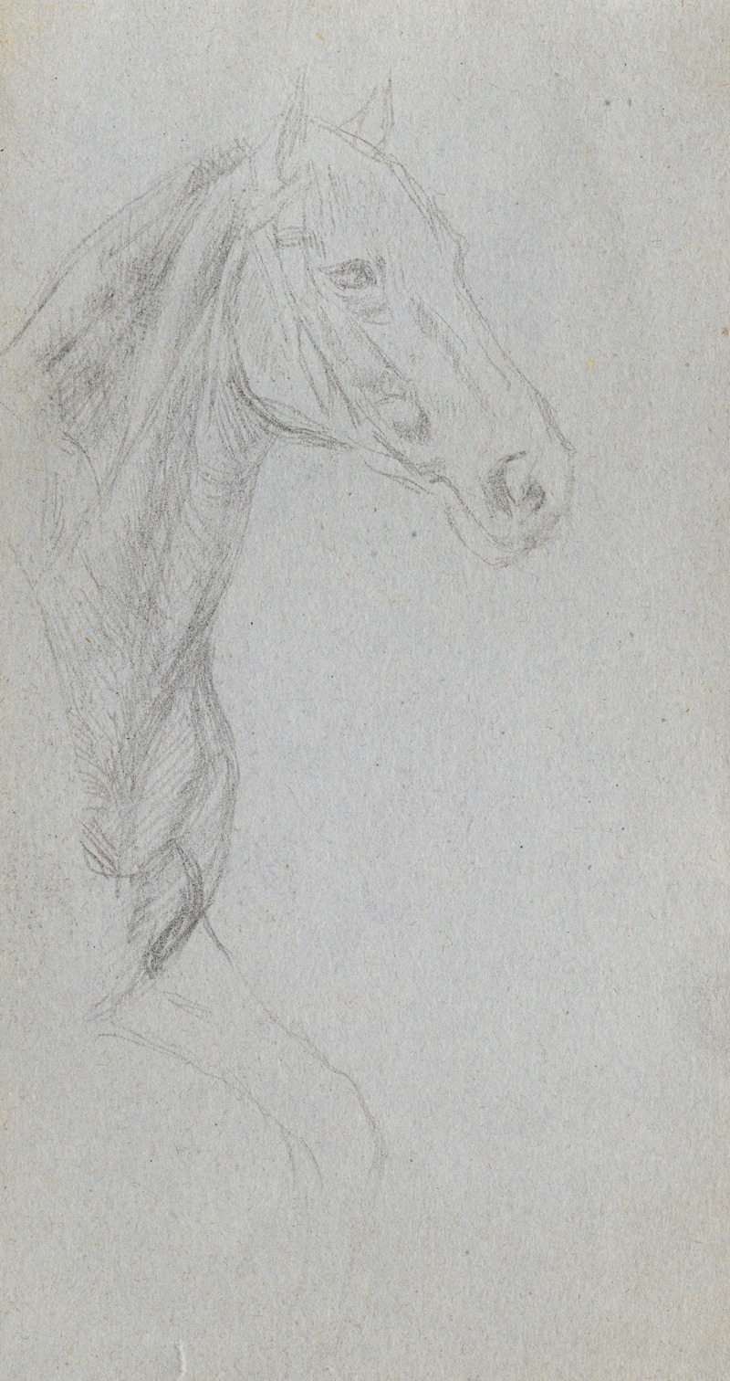 Ernest Meissonier - Study of a Horse