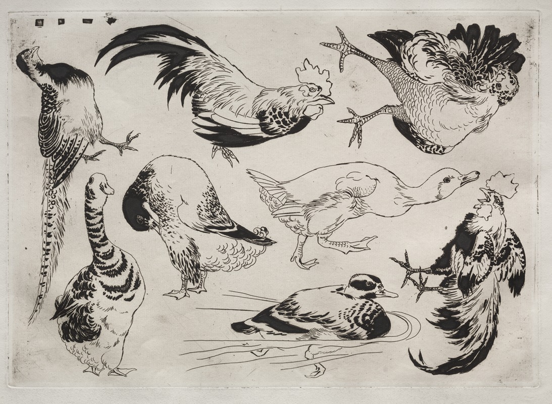 Félix Bracquemond - Roosters, ducks, etc.