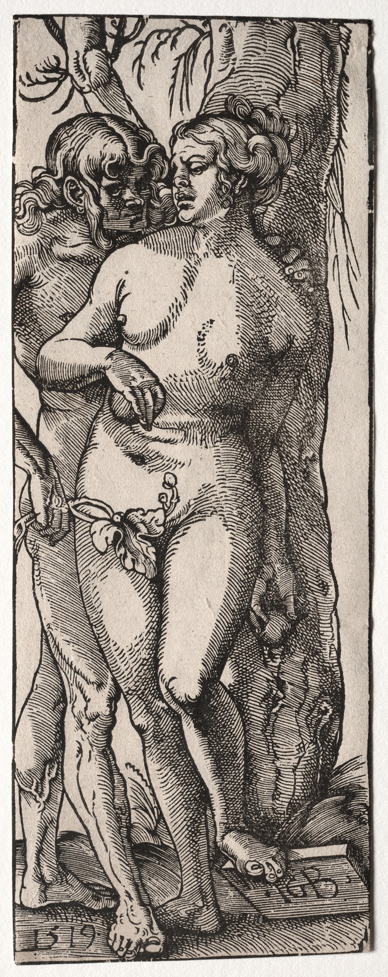 Hans Baldung - Adam and Eve