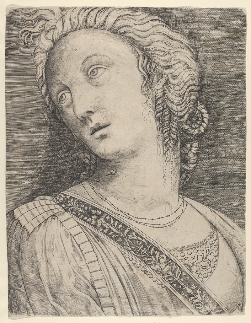 Jacopo de' Barbari - Bust of a woman with her head turned to the left