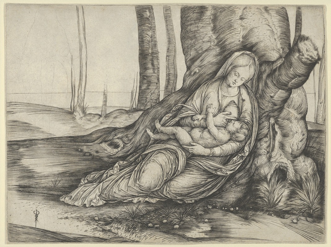 Jacopo de' Barbari - The Madonna nursing the Christ Child at the foot of a tree