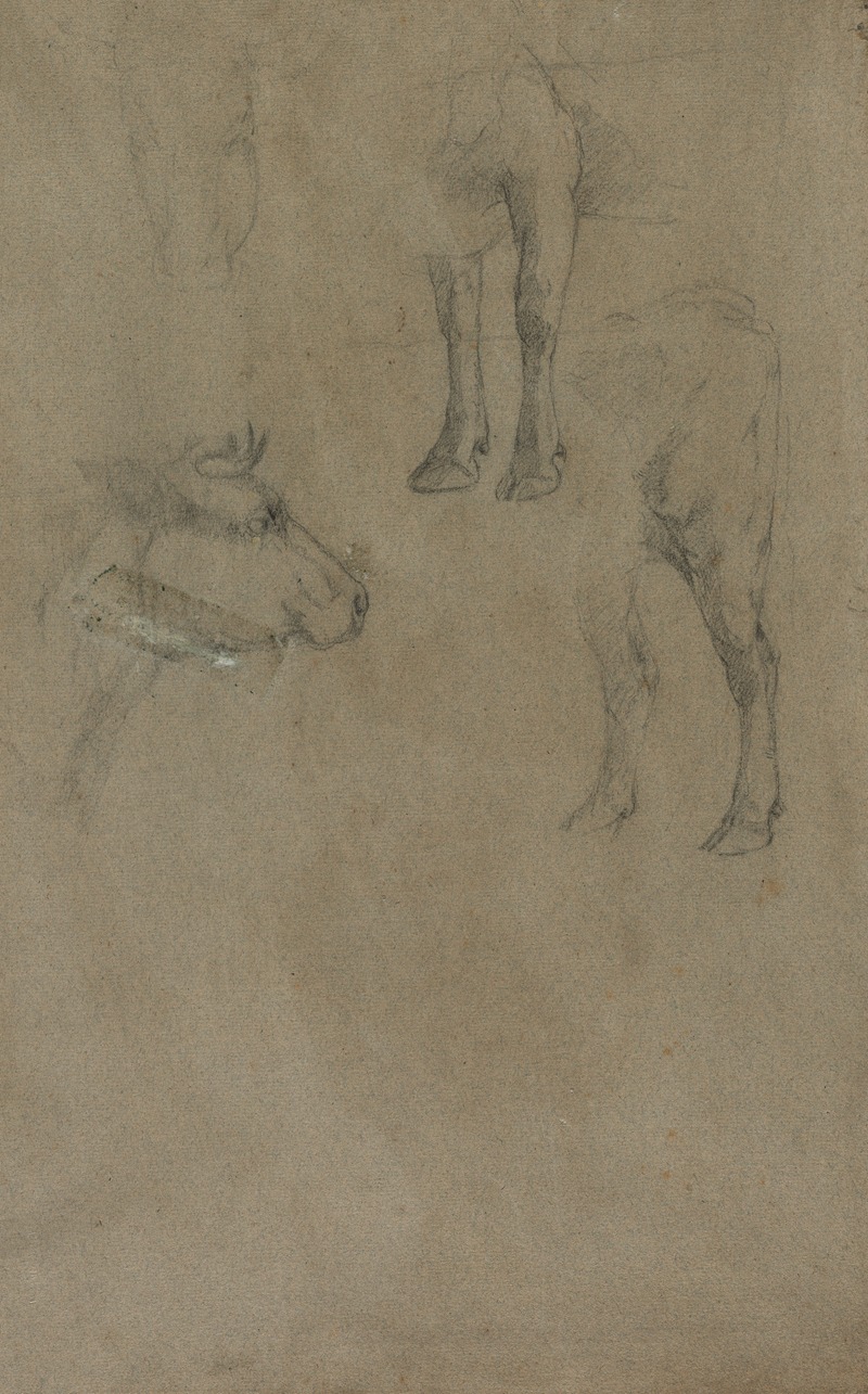 Johan Barthold Jongkind - Studies of a Bull