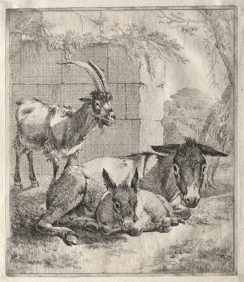 Johann Heinrich Roos - Goat and Donkeys