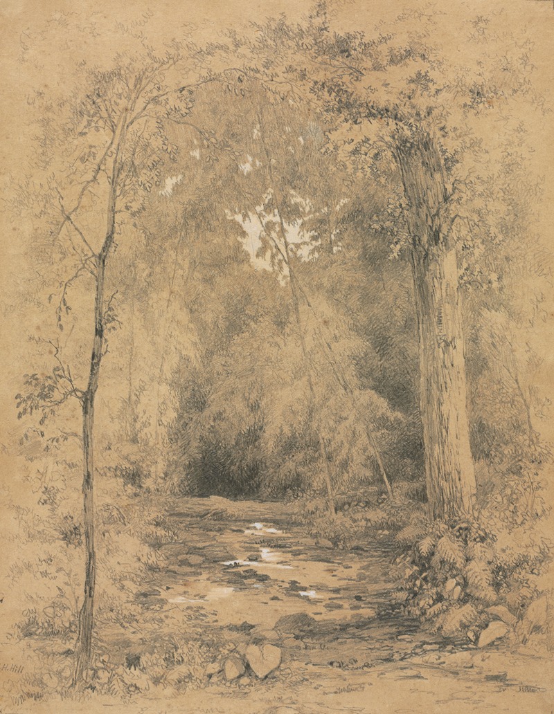 John Henry Hill - Forest Interior