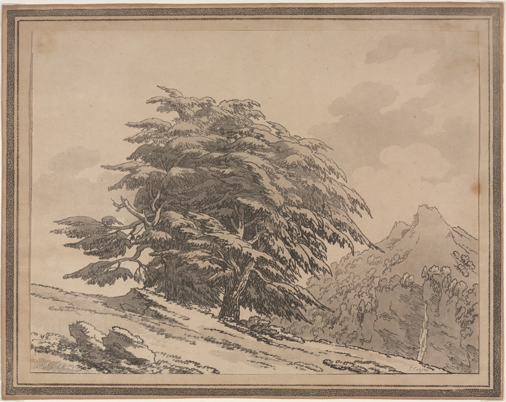 John Robert Cozens - Cedar