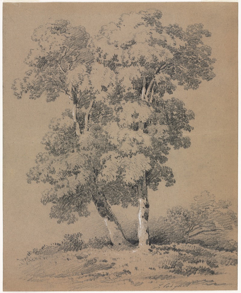 Jules Coignet - Tree Study