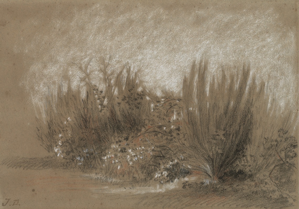 Jules Dupré - Genets et Ronces (Broom and Brambles)