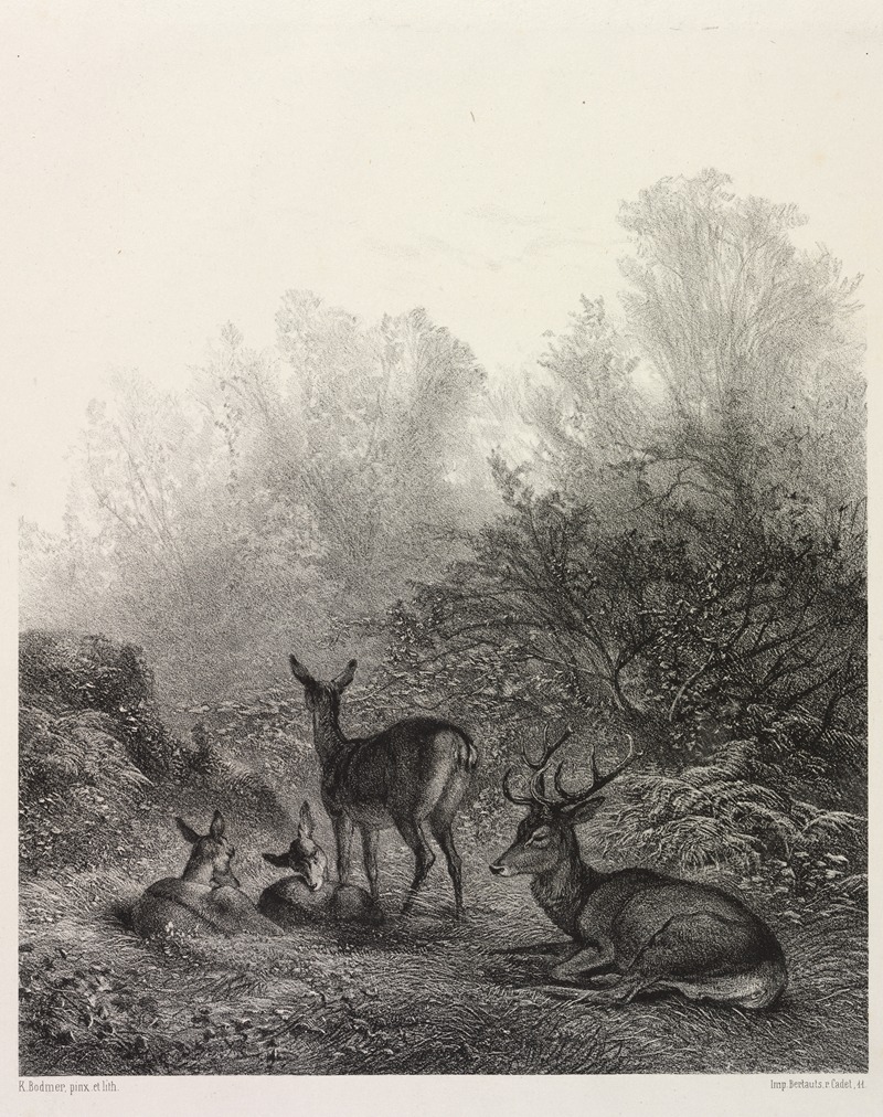 Karl Bodmer - Deer at Rest c. 1860