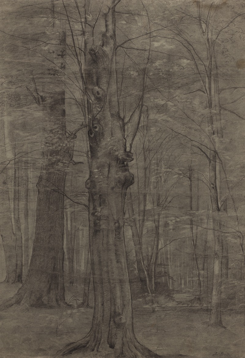 Leopold Bode - Trees