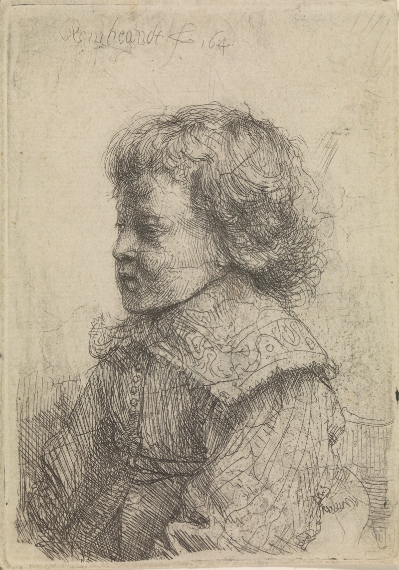 Rembrandt van Rijn - Portrait of a boy in profile