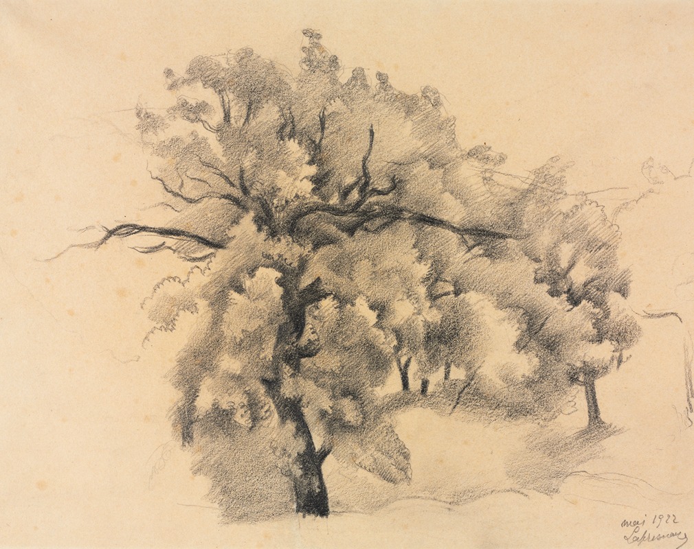 Roger de La Fresnaye - Study of Trees