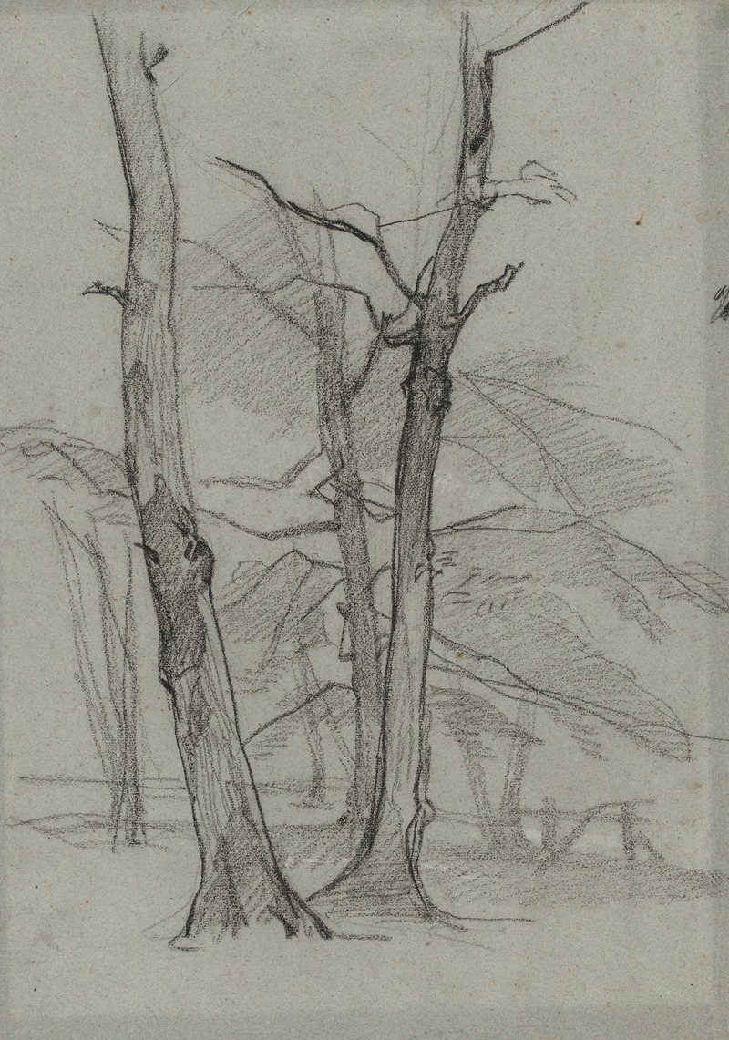 Thomas Couture - Landscape Study with Trees