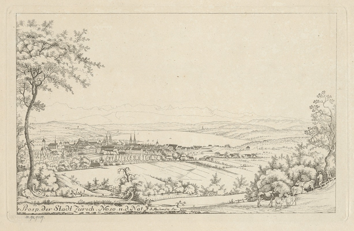 Johann Jakob Aschmann - Prosp. der Stadt Zürich. No.10 n. d. Nat.