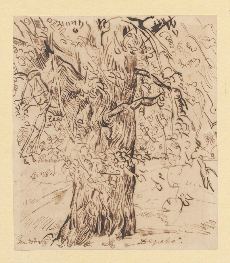 Zygmunt Waliszewski - Tree