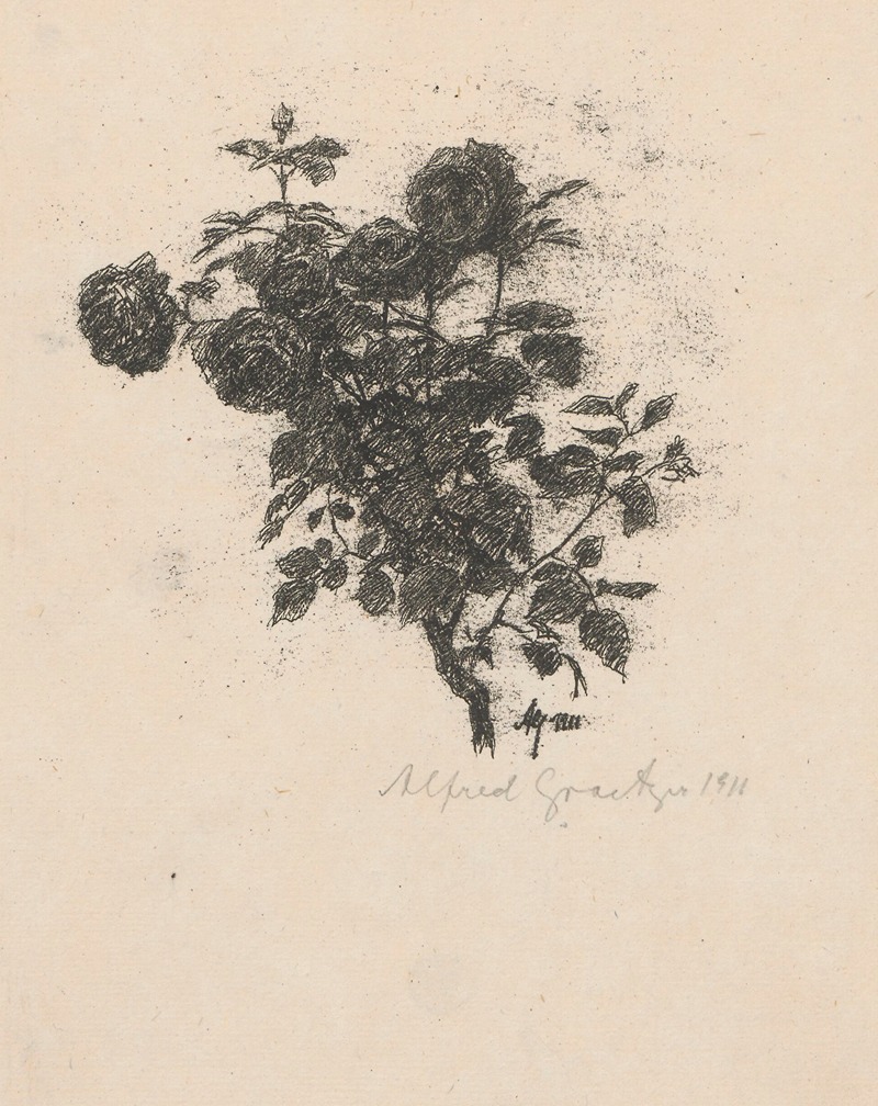 Alfred Graetzer - Róże