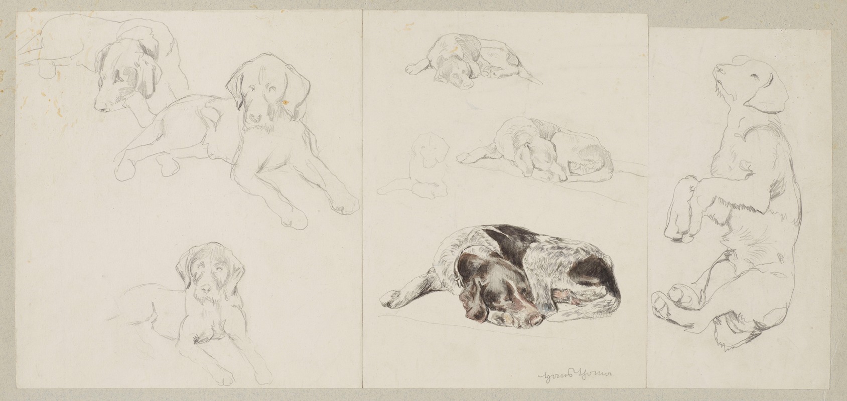 Hans Thoma - Eight Studies of a German Pointer