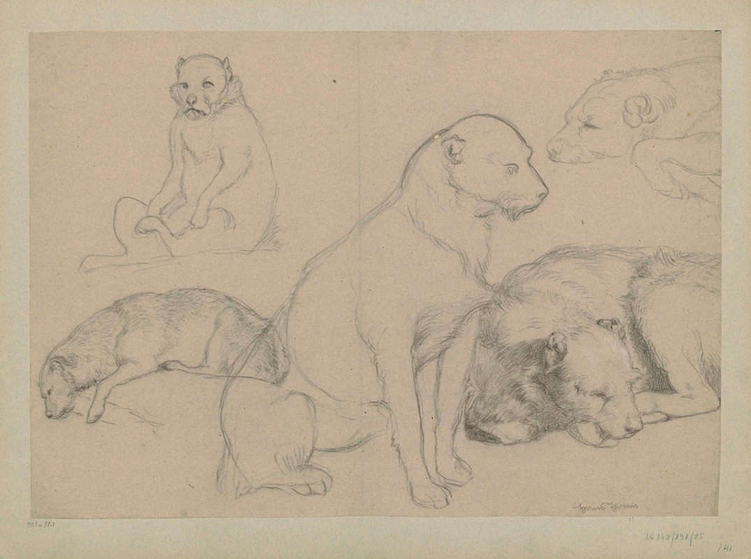 Hans Thoma - Five dog studies