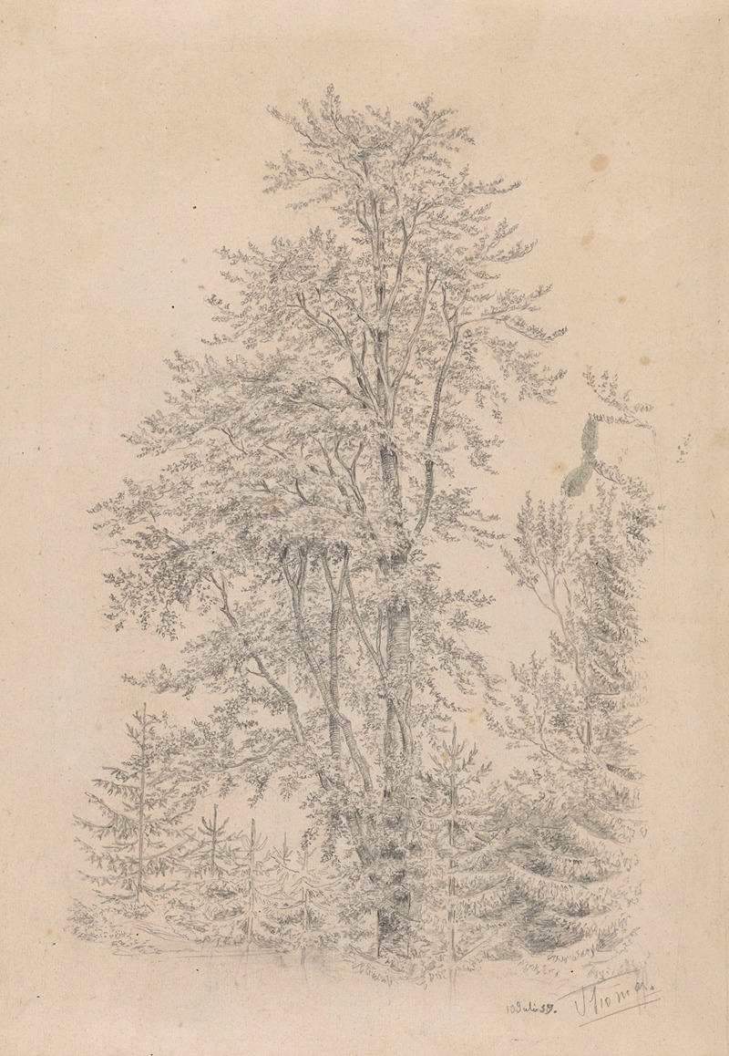 Hans Thoma - Forest Fragment with a Deciduous Tree in the Foreground