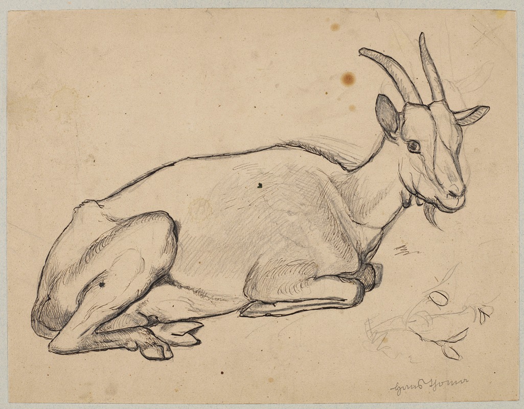 Hans Thoma - Lying Goat
