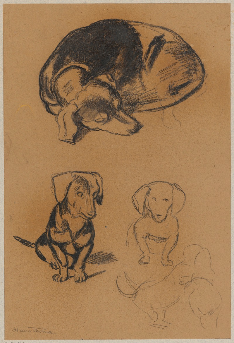 Hans Thoma - Studies of a dachshund