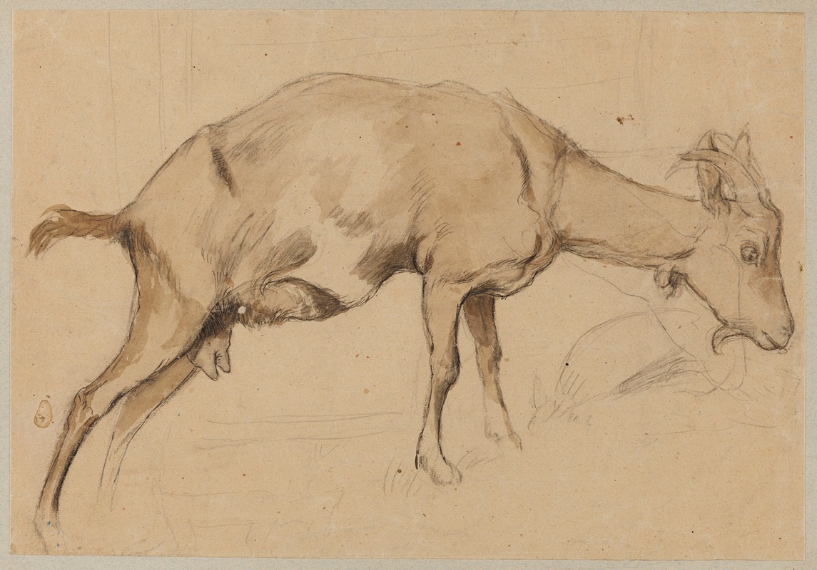 Hans Thoma - Study of a Goat