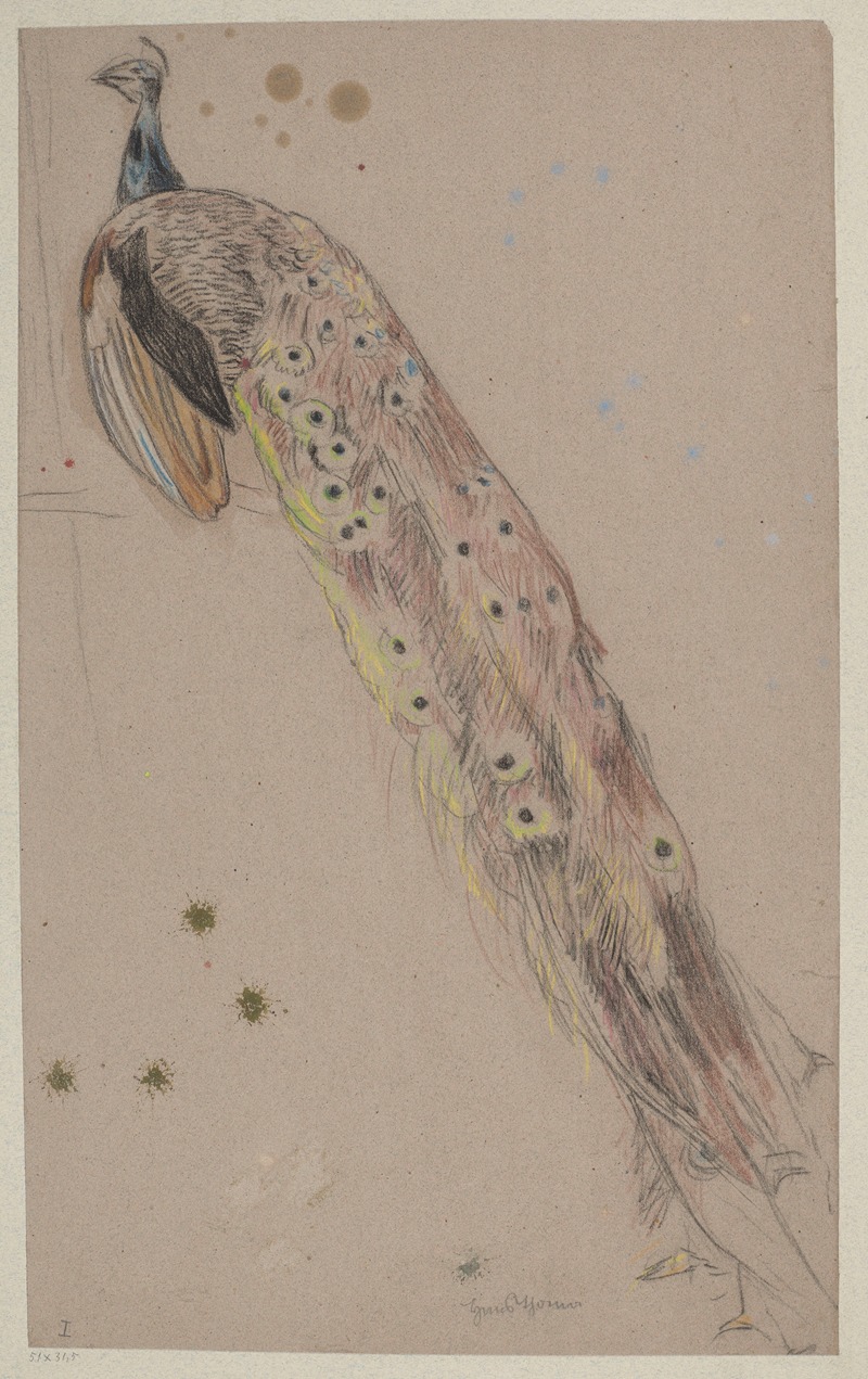 Hans Thoma - Study of a Peacock